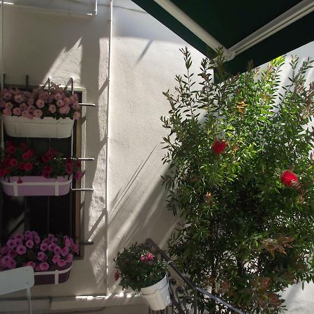 פיסטויה Appartamento La Casina מראה חיצוני תמונה